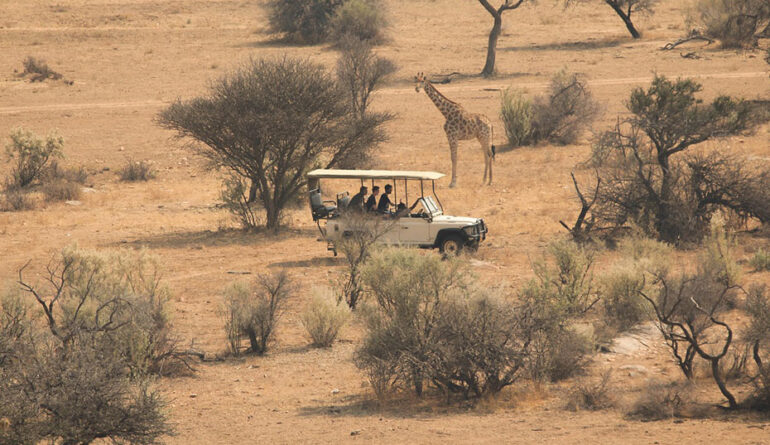 sebeen-trips-immersive-safari-experience-in-south-africas-crown-jewel-1